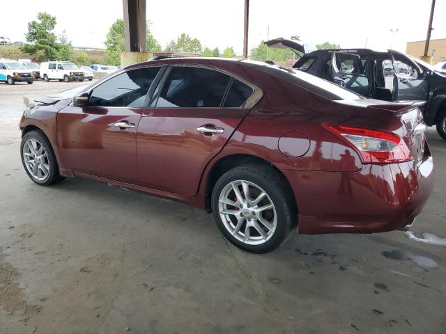 1N4AA5AP2BC837771 - 2011 NISSAN MAXIMA S 勃艮第红 照片 2