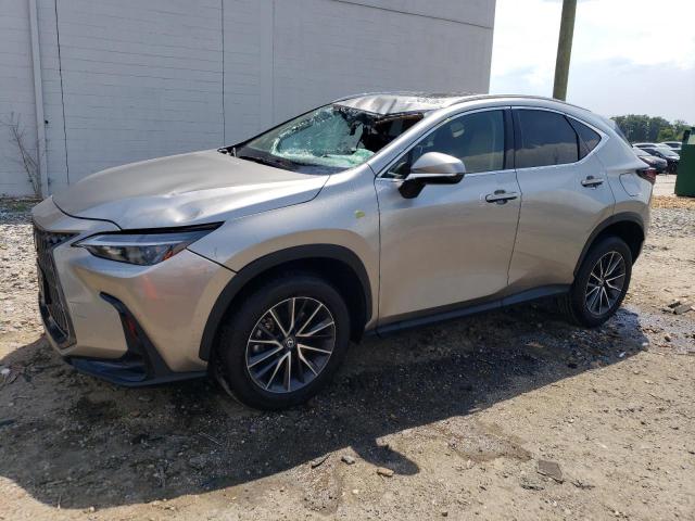 2024 LEXUS NX 350H BASE, null