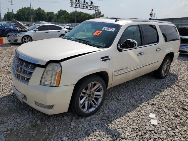 1GYUKKEF3AR113730 - 2010 CADILLAC ESCALADE ESV PLATINUM Ақ фото 1