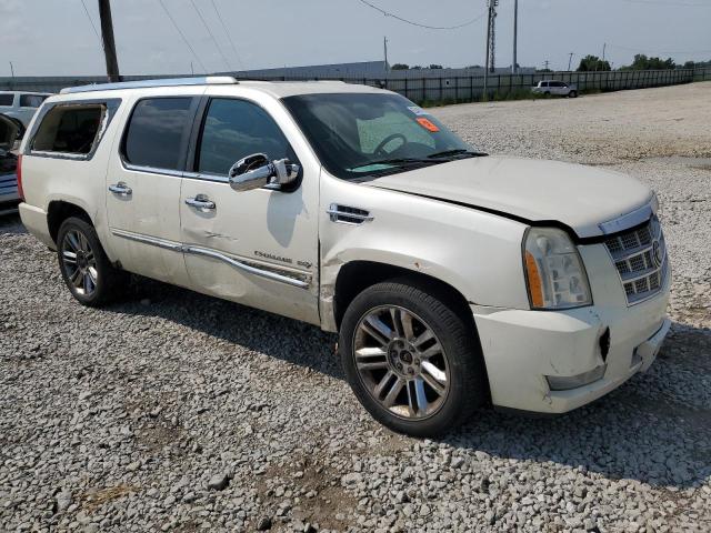1GYUKKEF3AR113730 - 2010 CADILLAC ESCALADE ESV PLATINUM Ақ фото 4