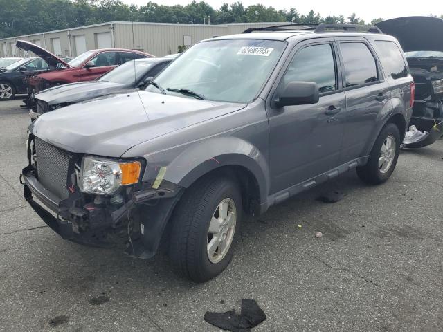 2010 FORD ESCAPE XLT, 