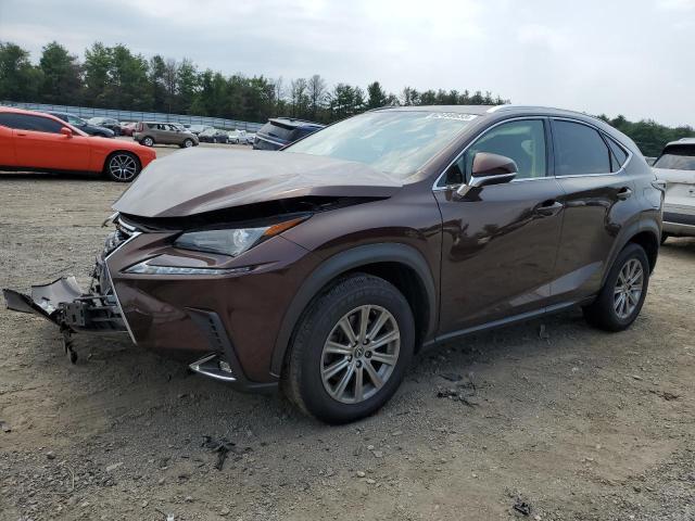 JTJBARBZ9K2209585 - 2019 LEXUS NX 300 BASE 棕色 照片 1