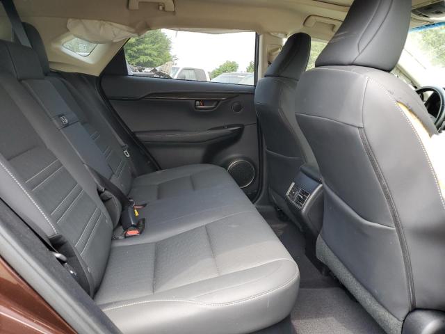 JTJBARBZ9K2209585 - 2019 LEXUS NX 300 BASE 棕色 照片 11