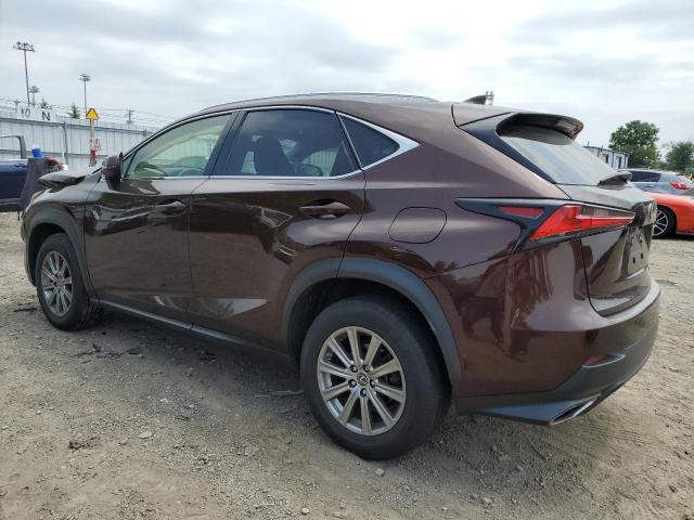 JTJBARBZ9K2209585 - 2019 LEXUS NX 300 BASE 棕色 照片 2