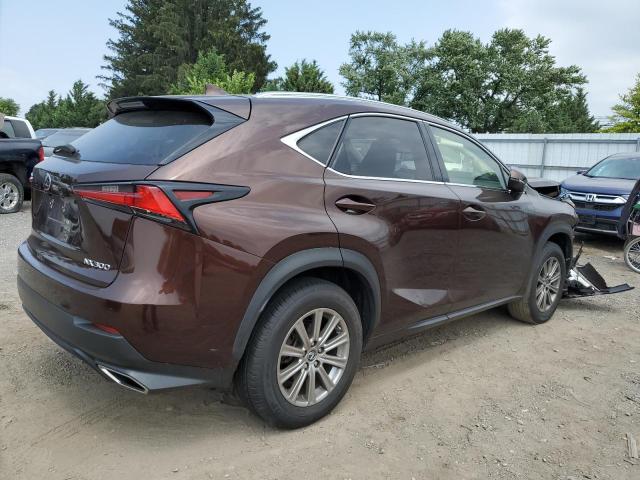 JTJBARBZ9K2209585 - 2019 LEXUS NX 300 BASE 棕色 照片 3