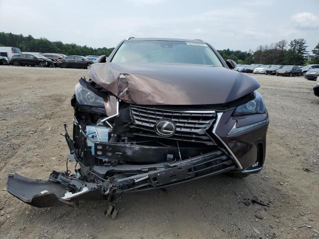 JTJBARBZ9K2209585 - 2019 LEXUS NX 300 BASE 棕色 照片 5