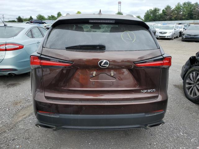 JTJBARBZ9K2209585 - 2019 LEXUS NX 300 BASE 棕色 照片 6