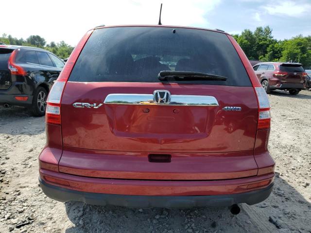 JHLRE4H51AC014976 - 2010 HONDA CR-V EX RED photo 6