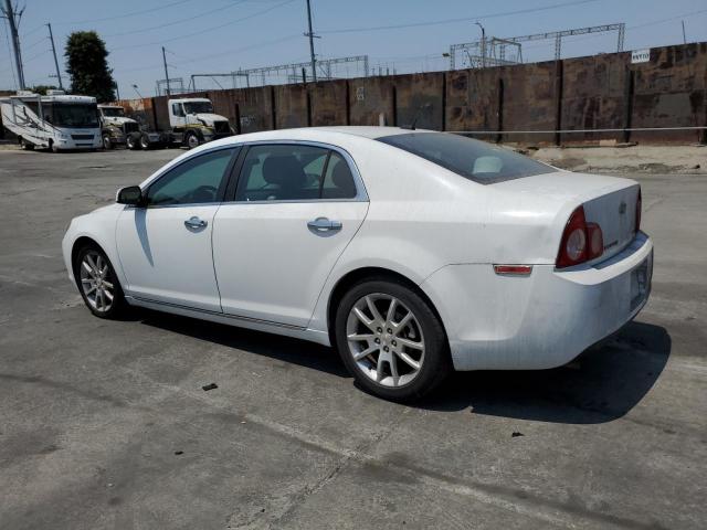 1G1ZE5E19BF383856 - 2011 CHEVROLET MALIBU LTZ თეთრი ფოტო 2
