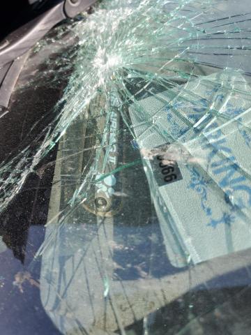 JN8AR07Y3YW423111 - 2000 NISSAN PATHFINDER LE 黑色 照片 12