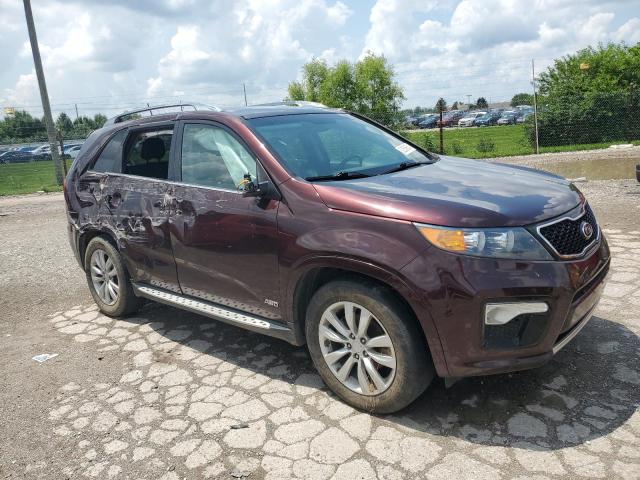 5XYKWDA25CG273397 - 2012 KIA SORENTO SX MAROON photo 4