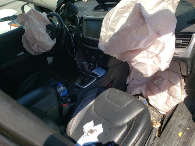 1C4PJMBS9GW227020 - 2016 JEEP CHEROKEE TRAILHAWK Boz foto 8