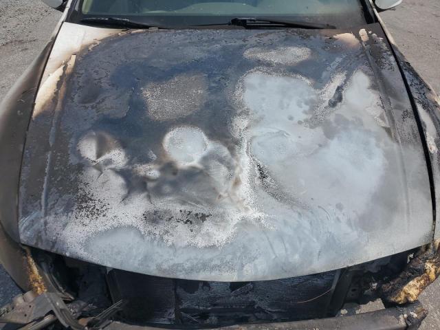 1HGCP36738A004856 - 2008 HONDA ACCORD EX WHITE photo 11