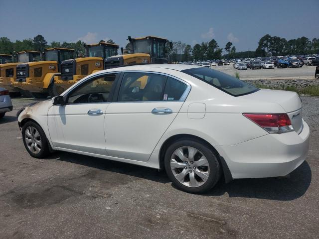 1HGCP36738A004856 - 2008 HONDA ACCORD EX WHITE photo 2