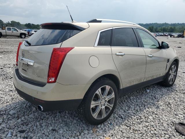 3GYFNBEY0AS561549 - 2010 CADILLAC SRX PERFORMANCE COLLECTION Алтын фото 3