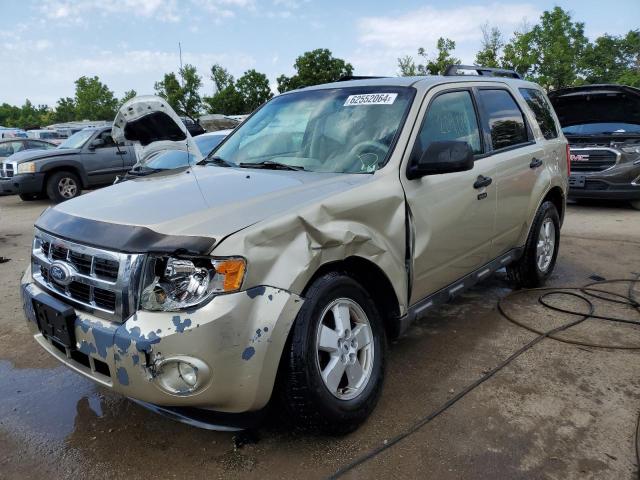 2010 FORD ESCAPE XLT, 