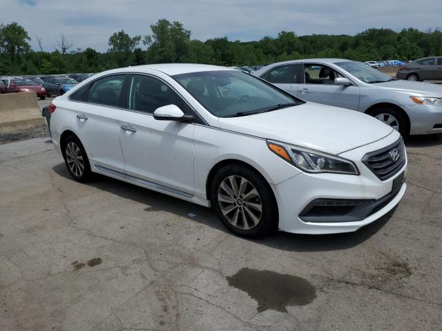 5NPE34AF2GH351285 - 2016 HYUNDAI SONATA SPORT WHITE photo 4