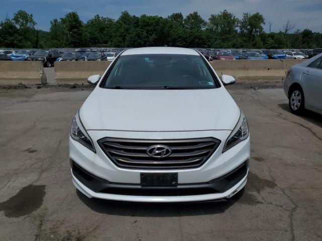5NPE34AF2GH351285 - 2016 HYUNDAI SONATA SPORT WHITE photo 5