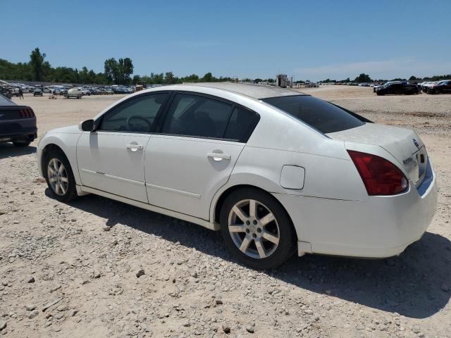 1N4BA41E84C894685 - 2004 NISSAN MAXIMA SE WHITE photo 2