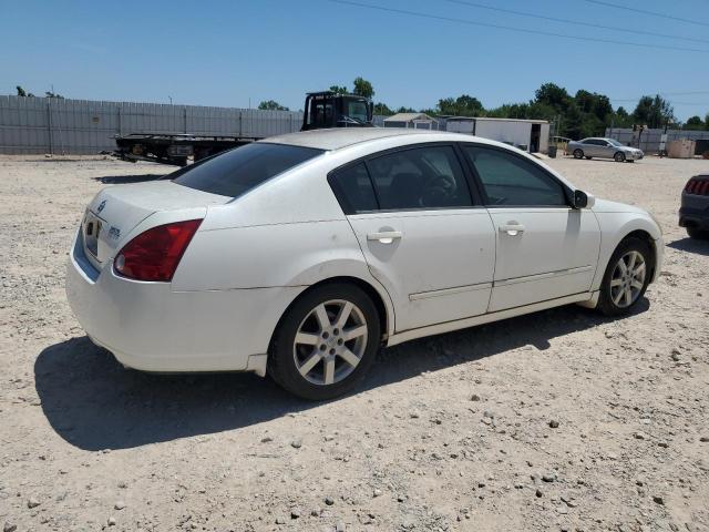 1N4BA41E84C894685 - 2004 NISSAN MAXIMA SE WHITE photo 3