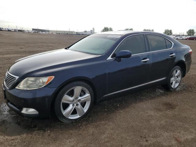 2009 LEXUS LS 460, null