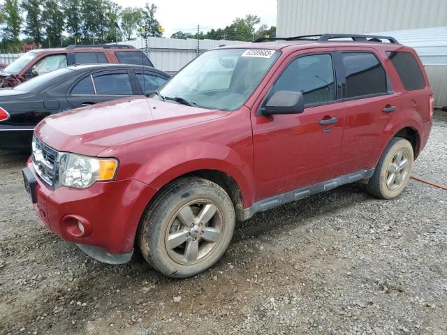 1FMCU0D77BKC49908 - 2011 FORD ESCAPE XLT RED photo 1