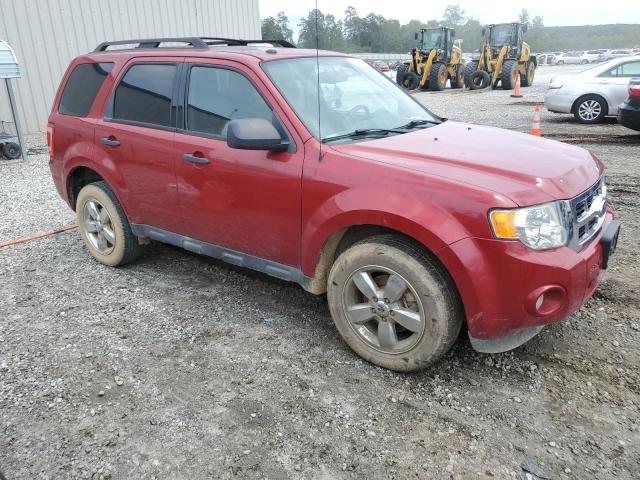 1FMCU0D77BKC49908 - 2011 FORD ESCAPE XLT RED photo 4