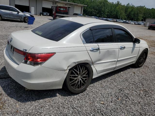 1HGCP3F86BA026981 - 2011 HONDA ACCORD EXL თეთრი ფოტო 3