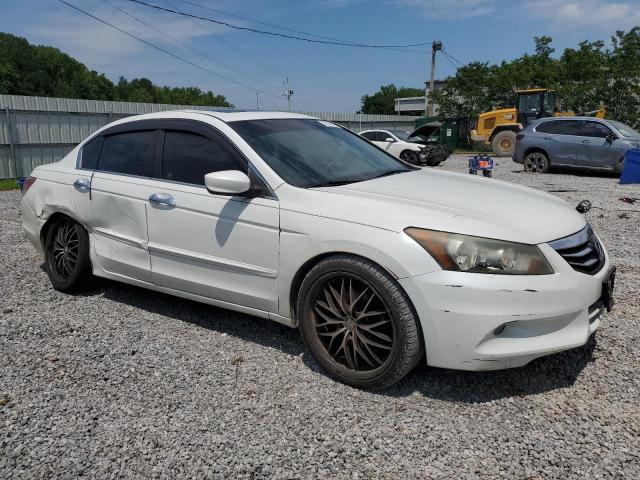 1HGCP3F86BA026981 - 2011 HONDA ACCORD EXL თეთრი ფოტო 4