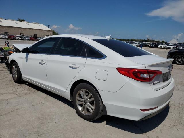 5NPE24AA7GH420589 - 2016 HYUNDAI SONATA ECO WHITE photo 2