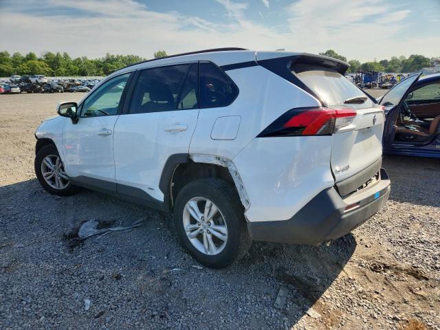 2T3RWRFV0PW176209 - 2023 TOYOTA RAV4 XLE WHITE photo 2