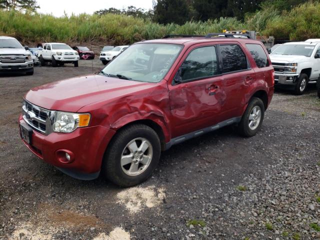 2012 FORD ESCAPE XLT, 