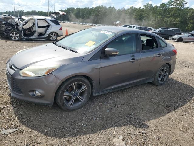 1FADP3F23EL410150 - 2014 FORD FOCUS SE GRAY photo 1