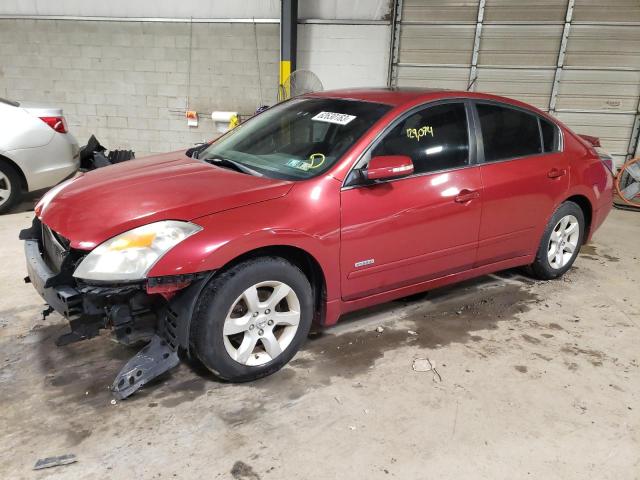 1N4CL21E49C155789 - 2009 NISSAN ALTIMA HYBRID RED photo 1