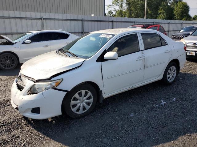 1NXBU4EE5AZ354983 - 2010 TOYOTA COROLLA BASE WHITE photo 1