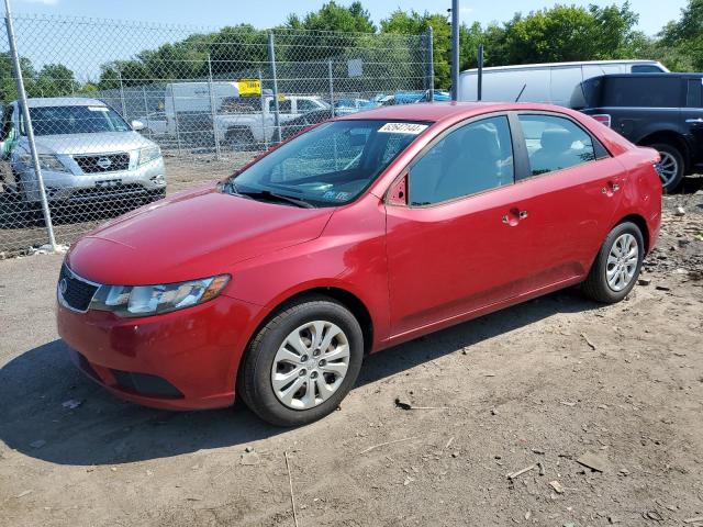 KNAFU4A21D5716126 - 2013 KIA FORTE EX RED photo 1