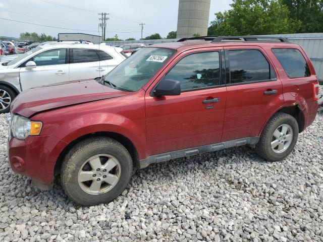 1FMCU0D79CKC11646 - 2012 FORD ESCAPE XLT RED photo 1