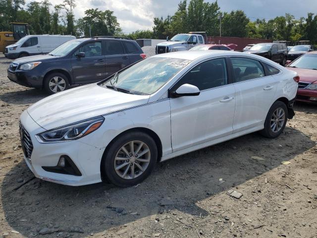 5NPE24AF4KH766376 - 2019 HYUNDAI SONATA SE WHITE photo 1