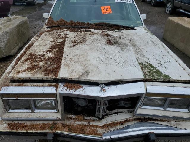 1C3BF66P2FX621808 - 1985 CHRYSLER FIFTH AVEN WHITE photo 11