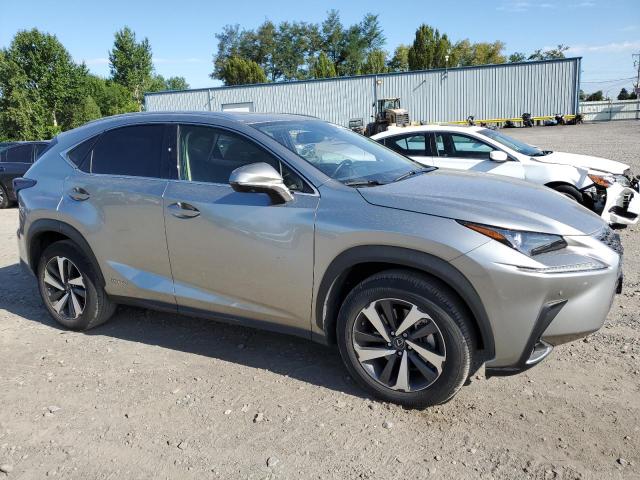 JTJGJRDZ7L2132767 - 2020 LEXUS NX 300H SILVER photo 4