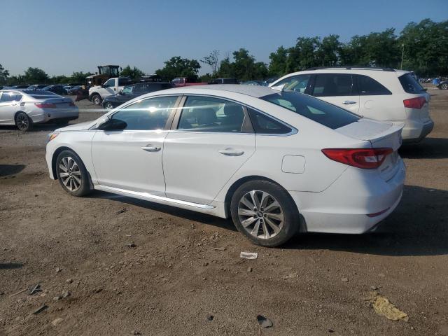 5NPE34AF1FH208391 - 2015 HYUNDAI SONATA SPORT WHITE photo 2