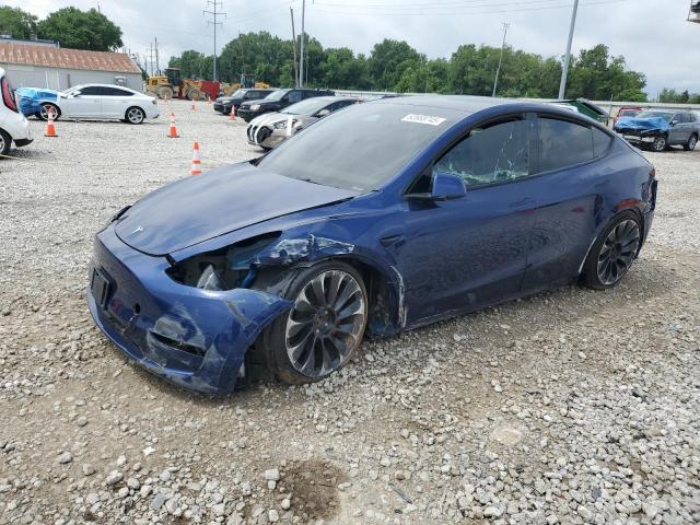 2023 TESLA MODEL Y, null