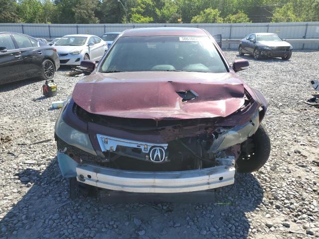 19UUA9F5XDA000496 - 2013 ACURA TL TECH BURGUNDY photo 5