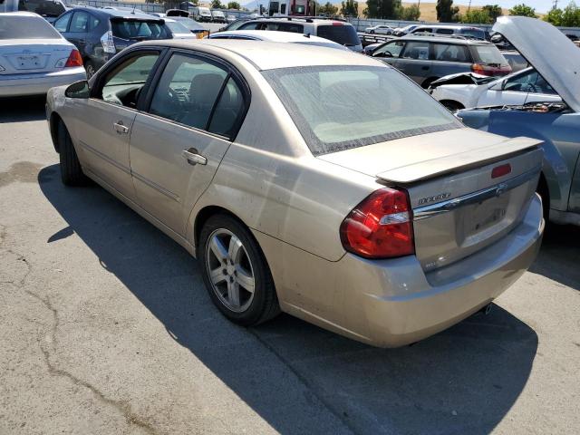 1G1ZU53836F202324 - 2006 CHEVROLET MALIBU LTZ ოქროსფერი ფოტო 2
