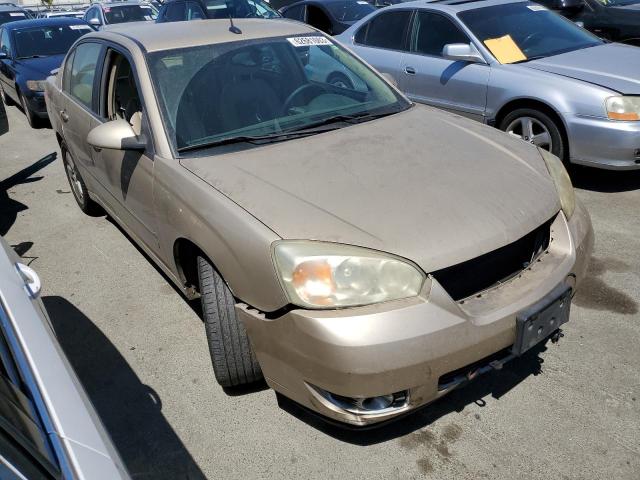 1G1ZU53836F202324 - 2006 CHEVROLET MALIBU LTZ ოქროსფერი ფოტო 4