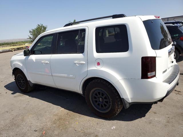 5FNYF48549B042954 - 2009 HONDA PILOT EXL Սպիտակ լուսանկար 2