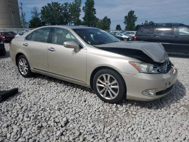 JTHBK1EG9A2392818 - 2010 LEXUS ES 350 BEIGE photo 4