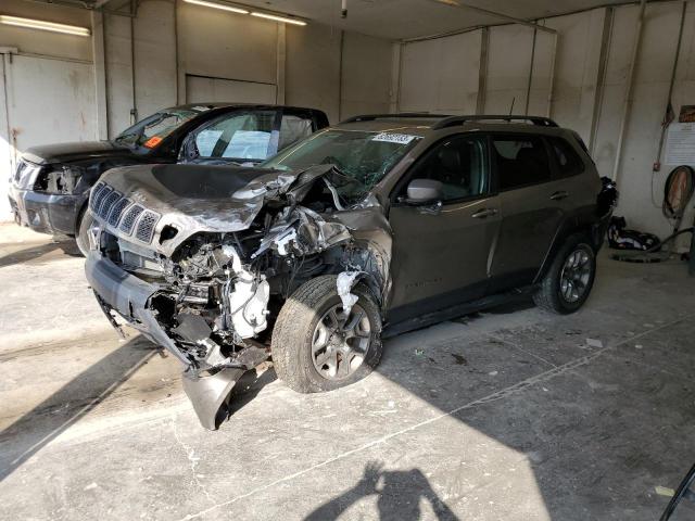 1C4PJMBN7KD341838 - 2019 JEEP CHEROKEE TRAILHAWK BEIGE photo 1