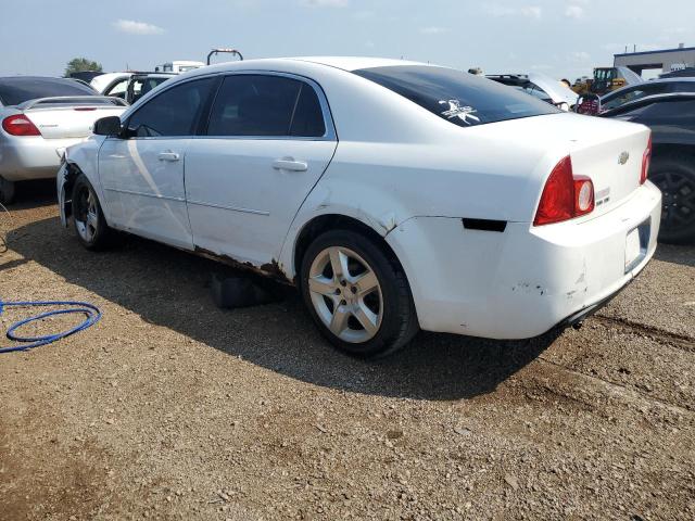 1G1ZH57BX9F116250 - 2009 CHEVROLET MALIBU 1LT 白色 照片 2