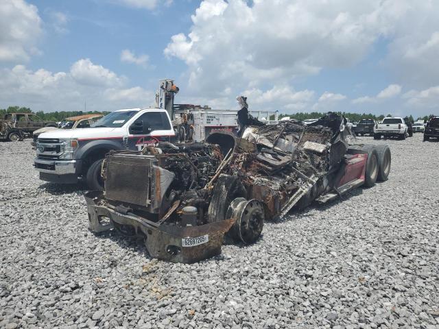 1FUJGLDR5DLBE8439 - 2013 FREIGHTLINER CASCADIA 1 栗色 照片 2